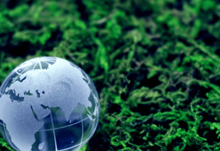 ISO 14001: 2015 Çevre Yönetim Sistemi Baş Denetçilik Eğitimi