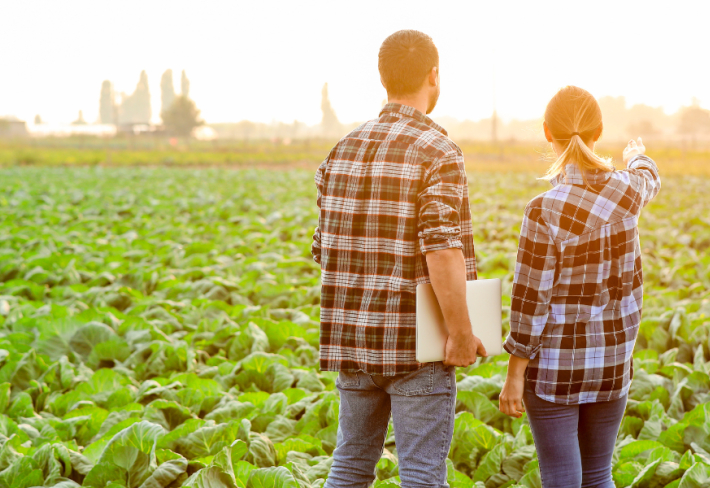 Tarla Bitkileri Yetiştiriciliği Ustalık Eğitimi